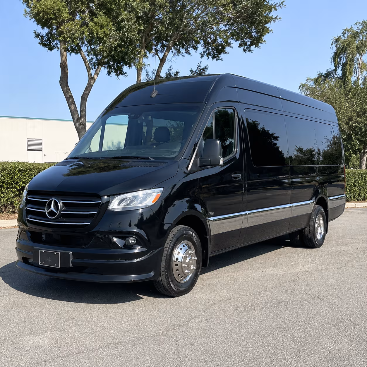 find the perfect transportation for your next birthday 4