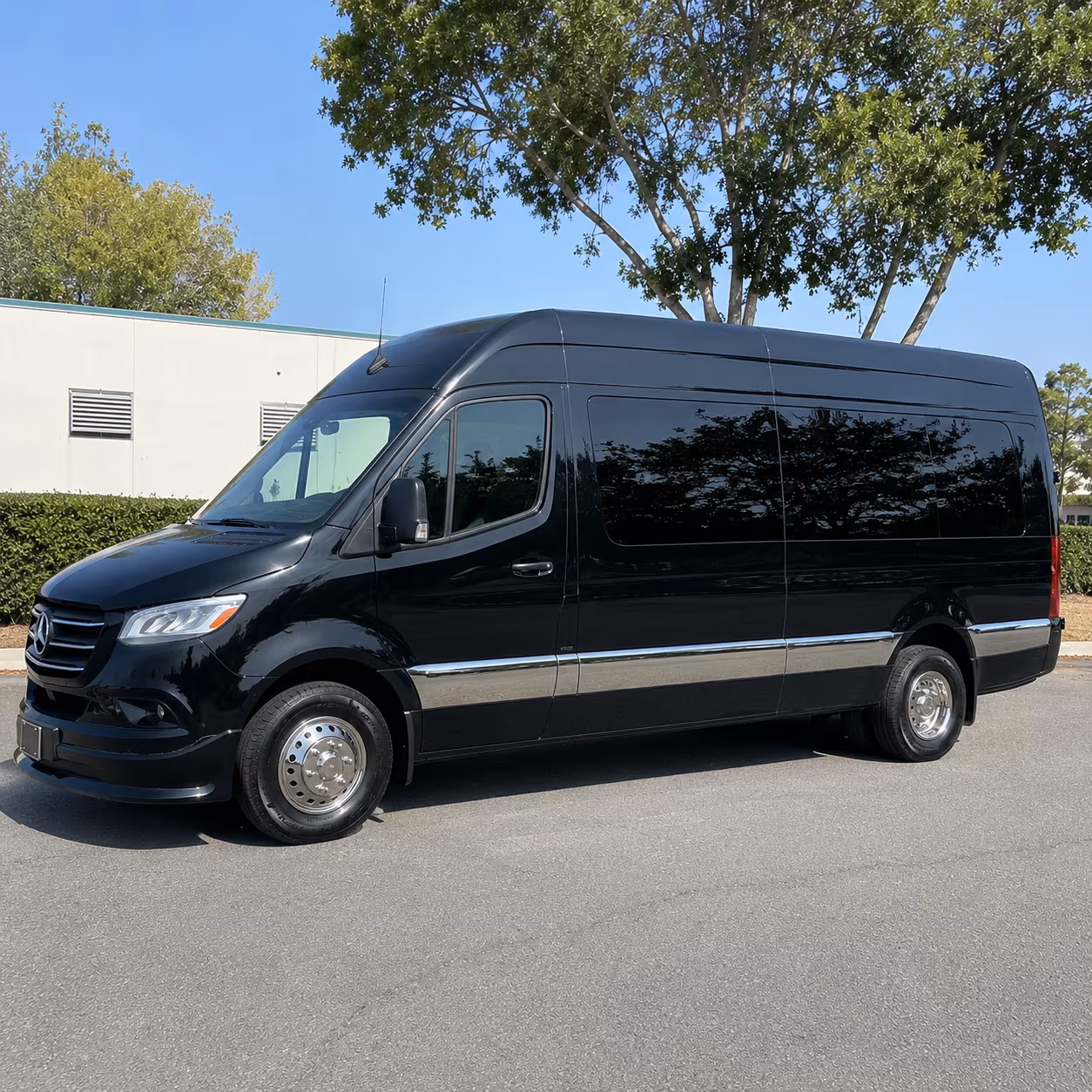 macon 10 passenger sprinter van