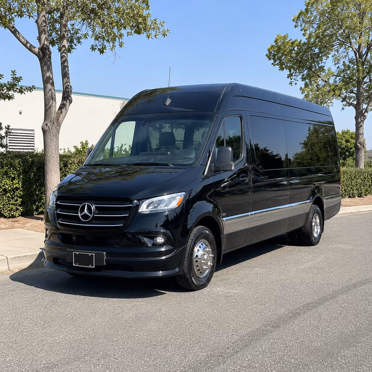 macon birthday sprinter van rental